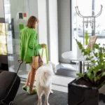 Pet-friendly-travel-1024x683