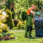 Best Yard Cleanup Services for a Cleaner and Healthier Outdoor Space